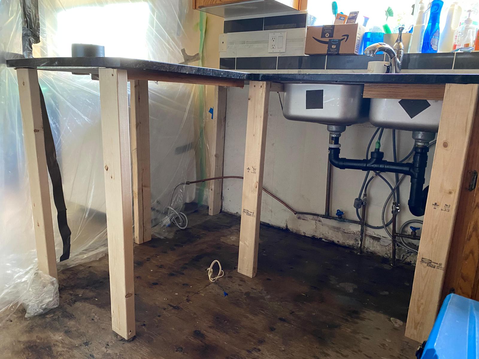 Mold Remediation